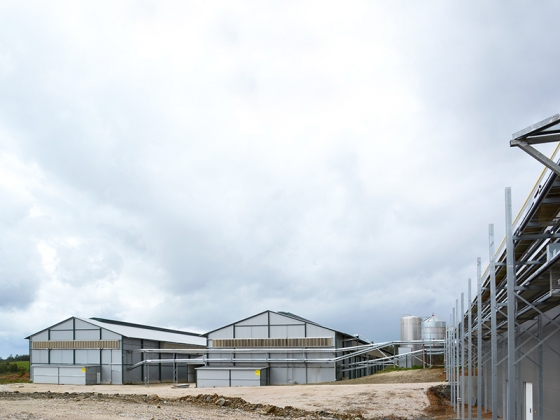 Rica Granja - Pustura